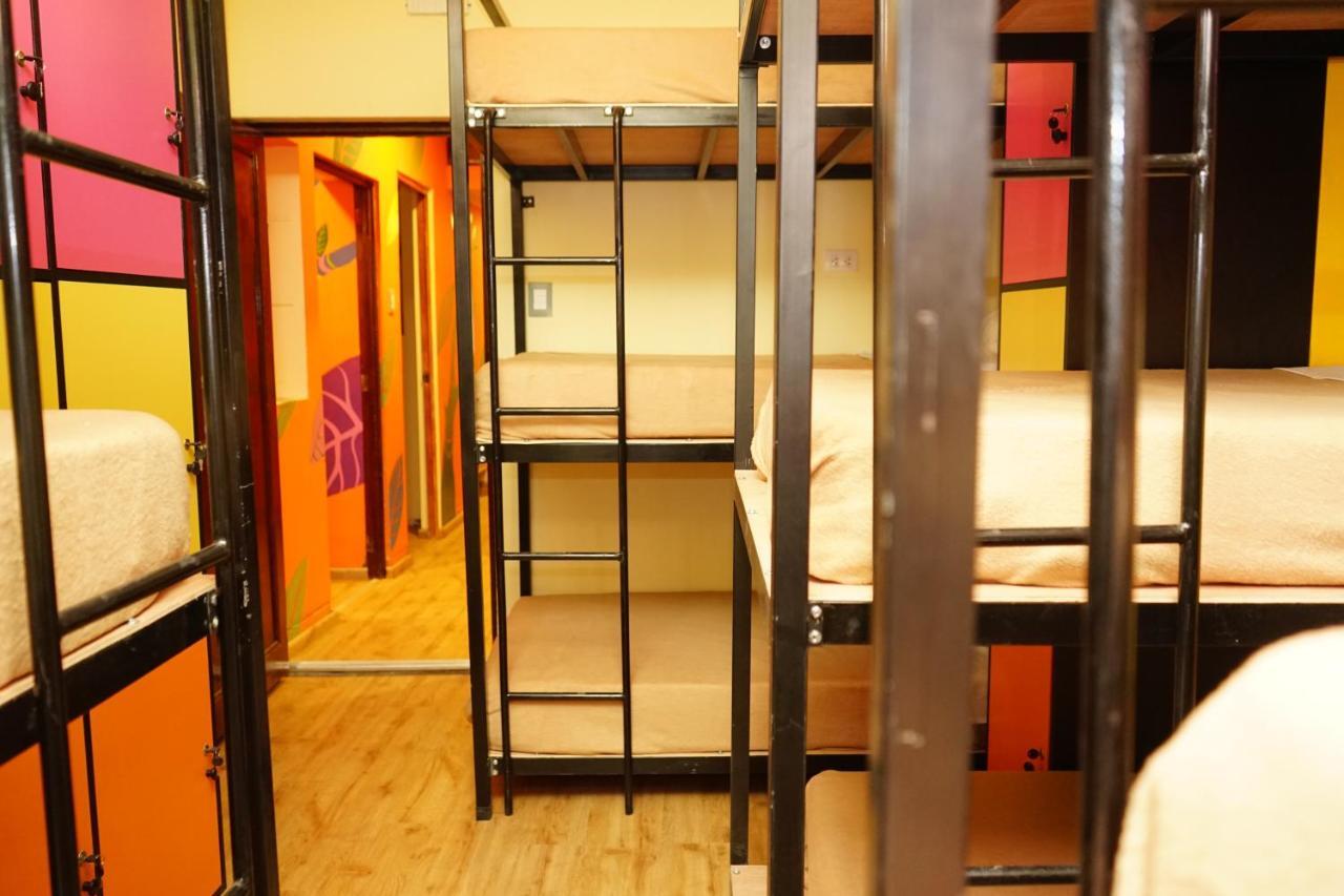 Happy Tree Hostel Peru Lima Zewnętrze zdjęcie